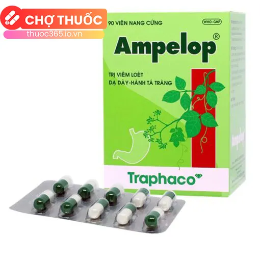 Ampelop