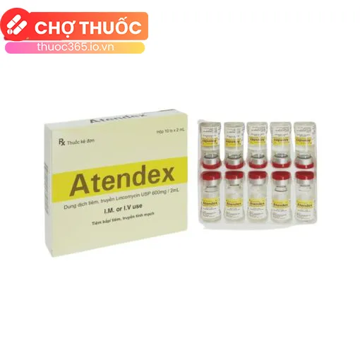 Atendex 600mg/2ml