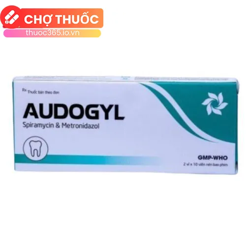 Audogyl