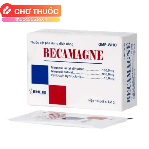 Becamagne