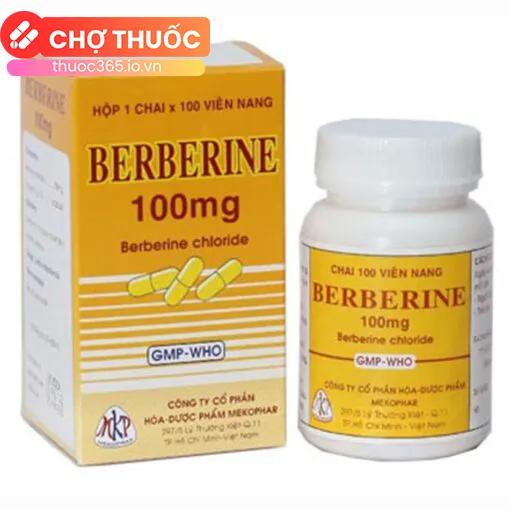 Berberine 100mg Mekophar (Lọ 100 viên)