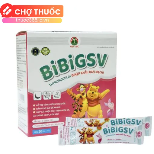 BibiGSV