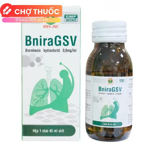 BniraGSV