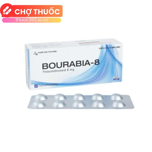 Bourabia-8