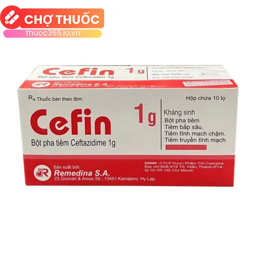Cefin 1g
