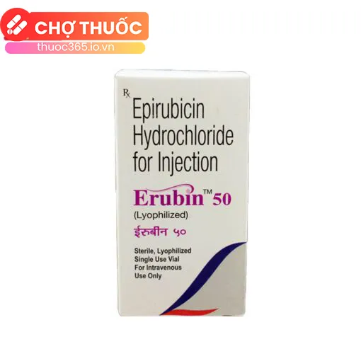 Erubin 50