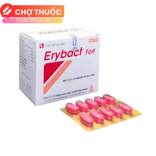 Erybact Fort