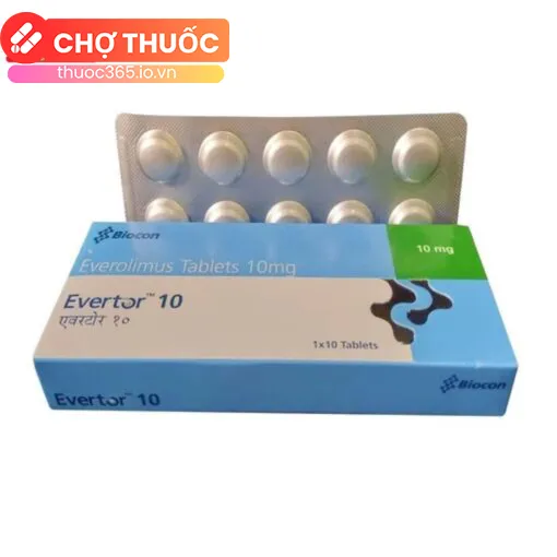 Evertor 10