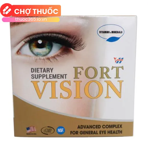 VH Fort Vision